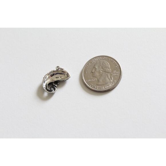Sterling Silver Chameleon Charm, Silver Chameleon Pendant, Silver Lizard Charm - Picture 4 of 5